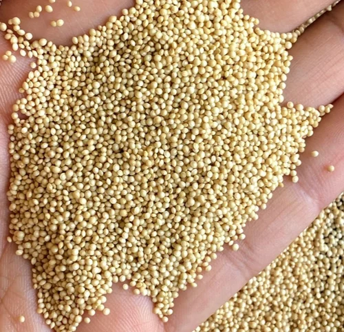 Amaranth Seed